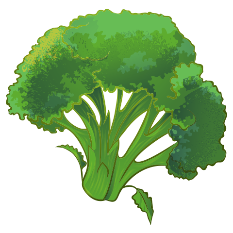 Б1 дахь зургийг идэвхжүүлээрэй.