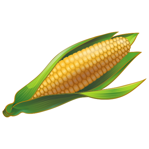 А4 дахь зургийг идэвхжүүлээрэй.