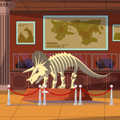 А1 дахь зургийг идэвхжүүлээрэй.